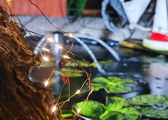 بيت للعطل Ruby Charm *