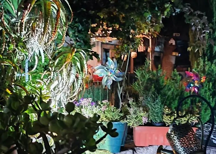 Ruby Charm بيت للعطل *